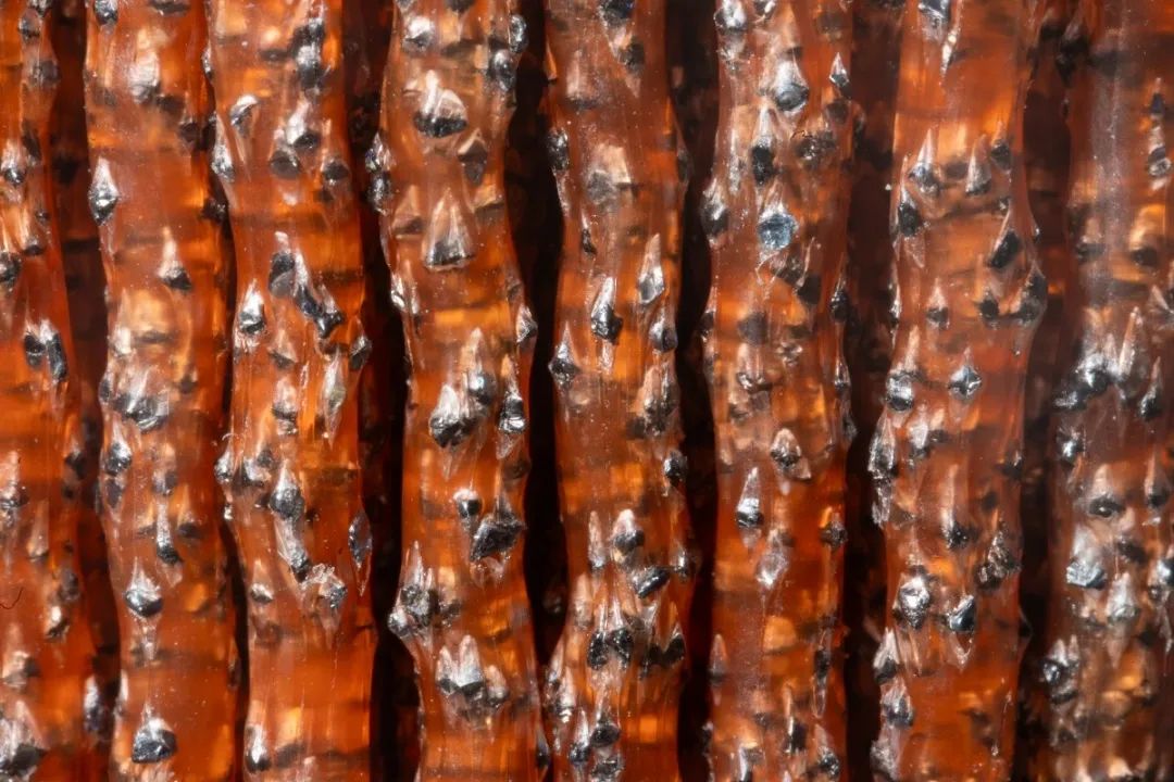 磨料絲細節 磨料絲細節