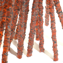 粗磨料絲 粗磨料絲